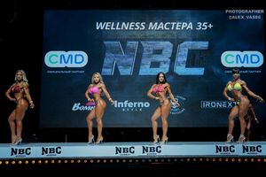 WELLNESS МАСТЕРА +35